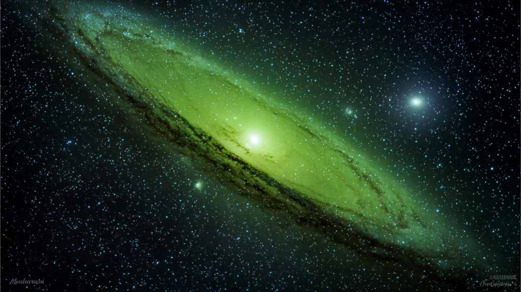 META ADS פרסום פייסבוק אנדרומדה